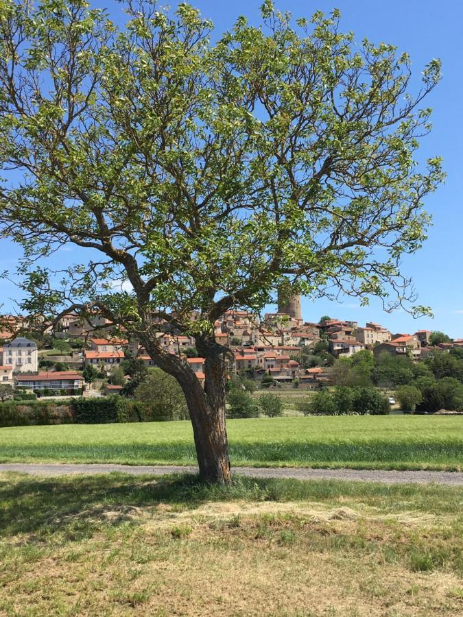 La Charmeraie Montpeyroux  ภายนอก รูปภาพ