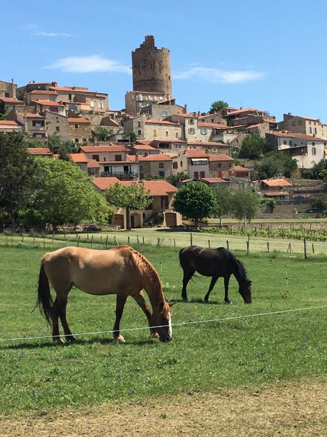 La Charmeraie Montpeyroux  ภายนอก รูปภาพ